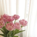 [댓글부탁해] 택배 <b>주말</b>에도 <b>배송</b> 해??