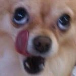 <b>대일</b>외고 아는 사람 ㄱㅊ음?지금가기에