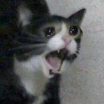 [방탄소년단] 남주나 나도 앨범 듣고<b>시퍼</b>어ㅠㅜㅠ