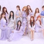 [모두드루와] 아이즈원 활동 강행 문제 없음