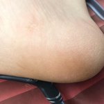 겨울엔 진짜 이거 필수아니냐