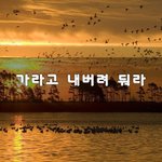[헤어진후에] 가라고 내버려 둬라~