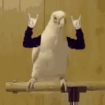 [방탄소년단] <b>라온</b>이 리믹스 버전 나올까