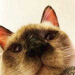 [NCT] 쿤이 <b>tmi</b> 하루종일 아무것도 안먹었대ㅠㅠ