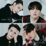 [빅톤] 모아서 보니 더 <b>짜릿</b>해