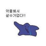 [댓글부탁해] 얘들아 나 겨울아우터 적은 거지?