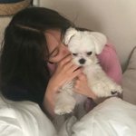 예비고1 국어 <b>선행</b> 어떻게해?