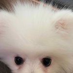 [댓글부탁해] 우리집 귀신<b>사나</b>봄.. ㄹㅇ