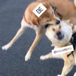 방탄 <b>차트</b> 3컷만화