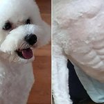 [NCT] <b>아니</b> 누가 이거 김정우래 ㅋㅋㅋㅋㅋㅋㅋㅋㅋㅋㅋㅋㅋㅋ