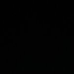 문관데 너네라면 ㅇㄷ감?