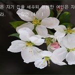 [댓글부탁해] 능력 없는놈은 혼자<b>살아라</b>