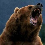 [댓글부탁해] 동생<b>샛끼</b>가 내 머리 잘랐어