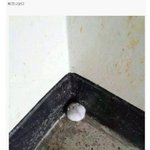 <b>어문</b>계열말고 수학조금하는 인문과