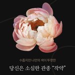 의료진한테 기부되는 꽃 성향테스트 하고가❤️❤️