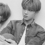 [드루와] 타팬이 좋아하는 엔시티 수록곡 모음