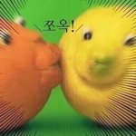 [드루와] 문과인 애들아 자기 <b>진로</b> 말하고 가봐....