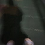 밤산책 나왓<b>지렁</b>