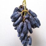 [드루와] 이 <b>포도</b> ㄹㅇ 개ㅆ존맛탱임