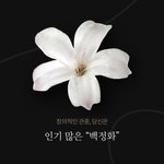 꽃 테스트 한 사람