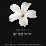 꽃테스트 개신기하당