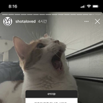 [NCT즌] 샷어럽 <b>무물</b> 이거 봄?도영이는 진짜...