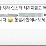 <b>자숙</b>하라니까 동물사진이나 보세요