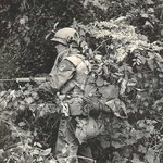 베트남전쟁 <b>한국군</b>의 만행