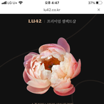 [빅톤] 한세 따라서 꽃 <b>심리</b>테스트 했는데