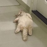 근데 인스타로는 잘생긴 사람도 많다;;