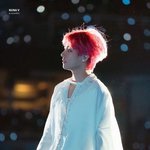 <b>시바</b> 이것봐
