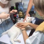 [드루와] 갑자기 ㅇㅅㅍ 여론바뀌는거