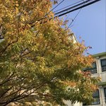 내사랑<b>은자</b>해다