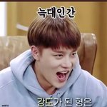 [NCT] 음하하하하핫 엔시티 앨범에 비상금 숨겼다
