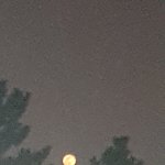 [드루와] 근데 <b>미자</b> 여돌, 남돌들은 털 제모를