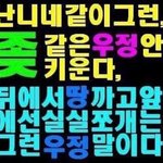[댓글부탁해] 앞머리 깠는데 너무 <b>사자</b>같음?