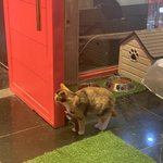 [꼭조언부탁] 22살 자취하는 대학생 <b>소비</b>패턴 조언 부탁드립니다!