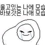 고삼들아 너네 1월1일에 뭐할거야