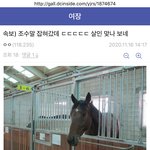 [BL] 럽오헤 작가 보고있나 연쇄살ㅇ마 배명진이 니 <b>열혈</b>팬이래