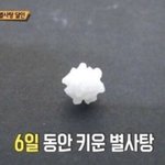 [NCT즌] 엔시티 <b>서사</b>