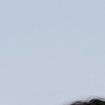 우리 <b>쥬</b>밀님