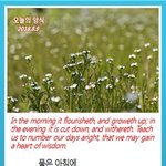 [교회와정치] <b>성경</b> 100독했습니다