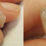 [댓글부탁해] 낙태된 태아의 <b>형태</b>