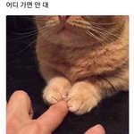 <b>눈살</b> 많이 처진 것 같은데 어떡하지???