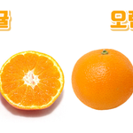 이거 추반해보셈 어려울걸?