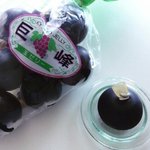 엔터랑 <b>연관</b> 없긴 한데 이거 먹어 본 사람 있냐