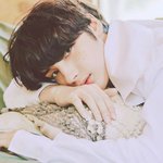 우리 <b>왕자</b>님