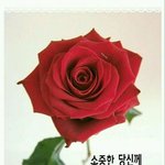 [드루와] 나만<b>주위</b>에이상한남자들꼬이냐???