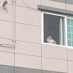 노는것도 시기를 <b>정해</b>두고 놀아야겠다
