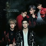 [NCT] 와